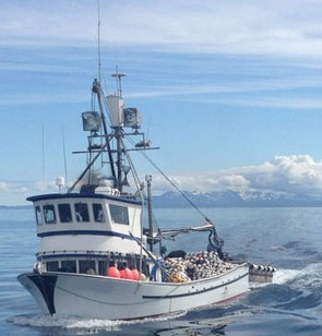 49' Delta Marine Purse Seine Vessel For Sale