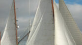 54' Finch Sailboat For Sale