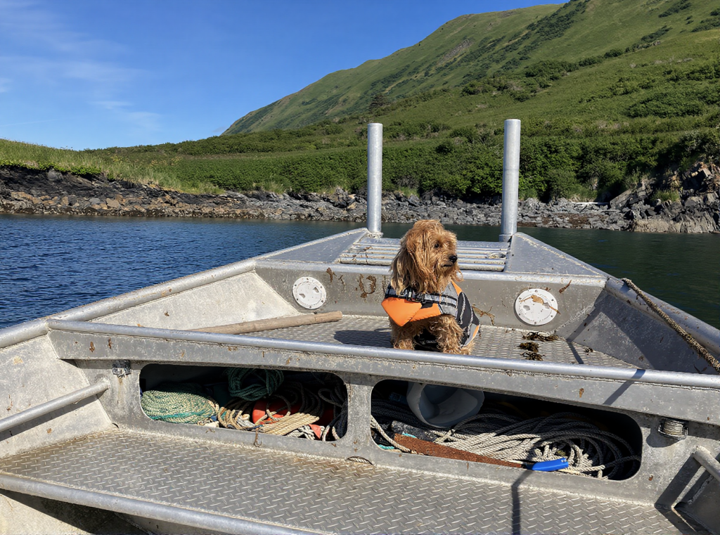KODIAK ALASKA SETNET SITE, UGANIK BAY
