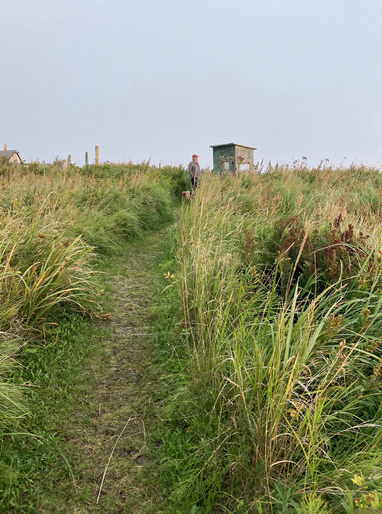 KODIAK ALASKA SETNET SITE, UGANIK BAY