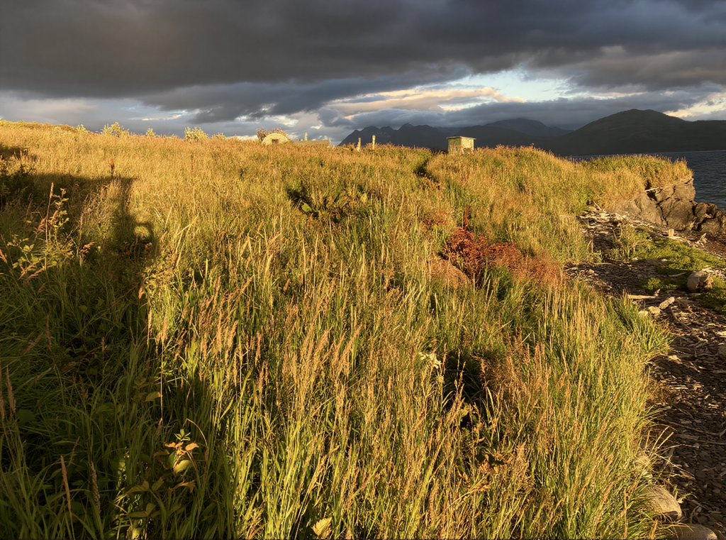 KODIAK ALASKA SETNET SITE, UGANIK BAY