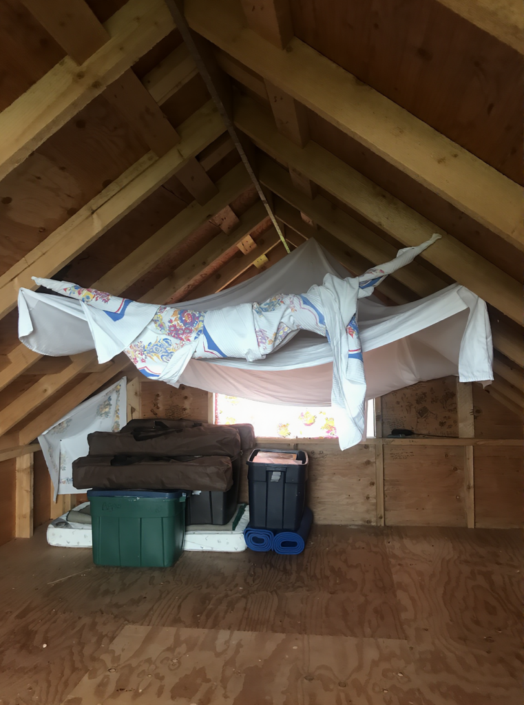 KODIAK ALASKA SETNET SITE, UGANIK BAY